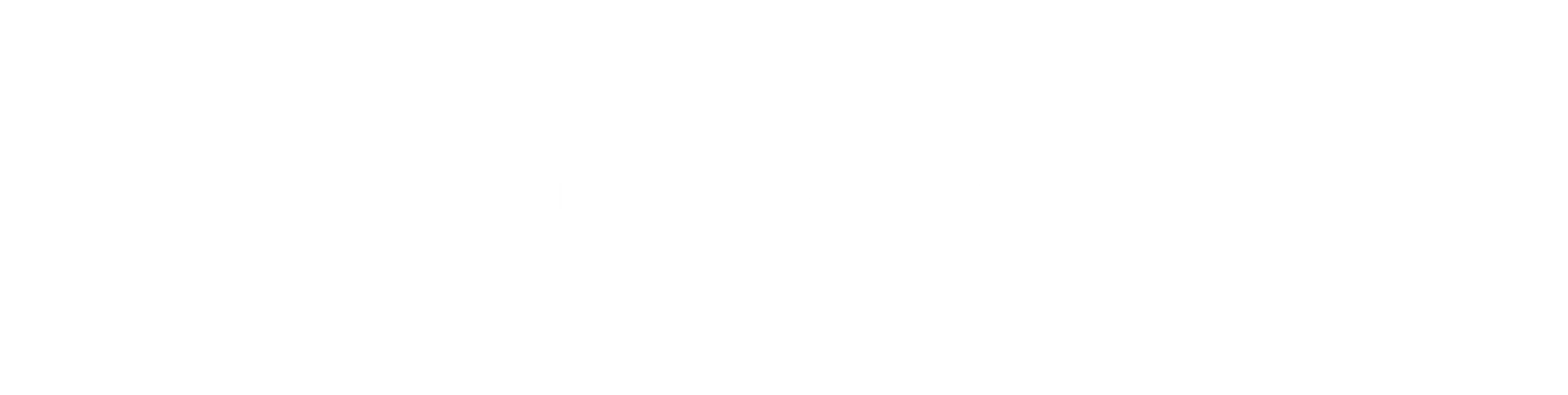 Apprimax SEO Platform